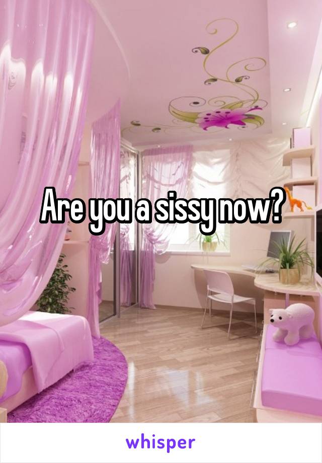 Are you a sissy now?
