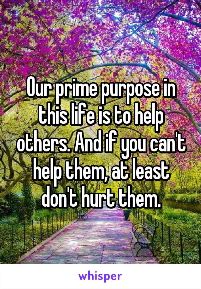 Our prime purpose in this life is to help others. And if you can't help them, at least don't hurt them.