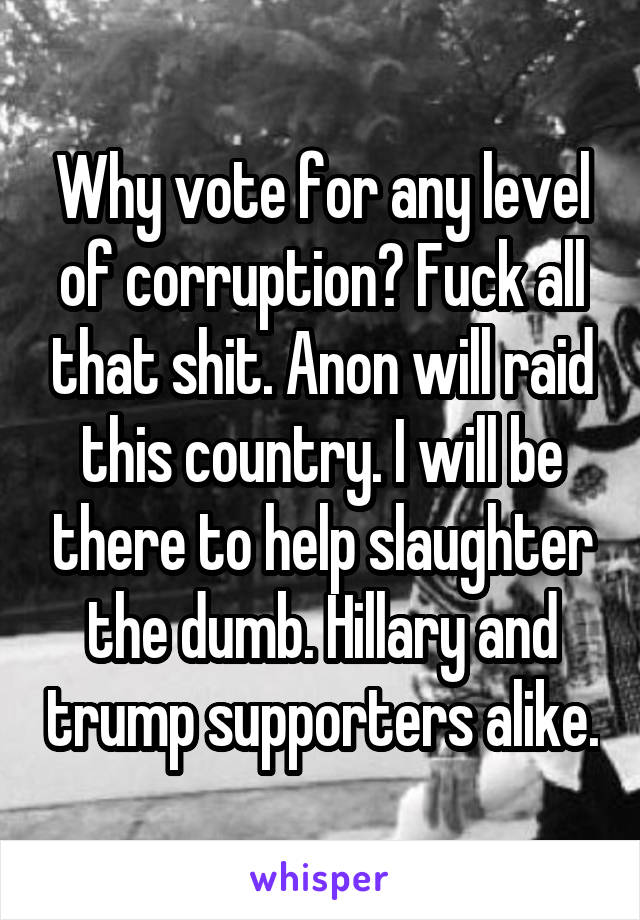 Why vote for any level of corruption? Fuck all that shit. Anon will raid this country. I will be there to help slaughter the dumb. Hillary and trump supporters alike.