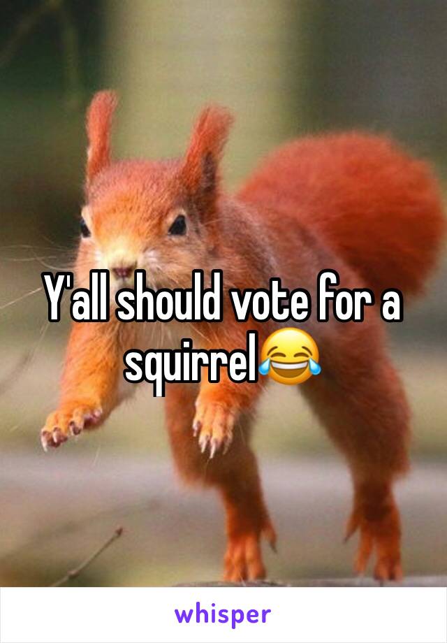 Y'all should vote for a squirrel😂