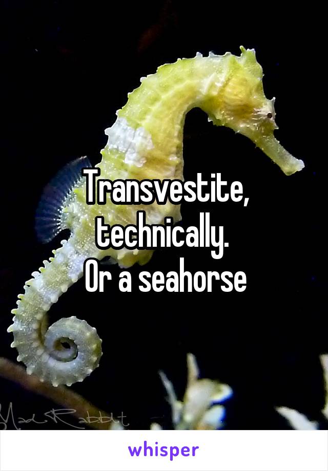Transvestite, technically. 
Or a seahorse