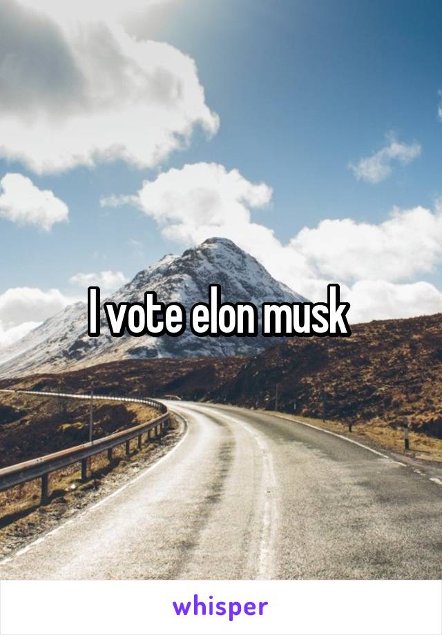 I vote elon musk 