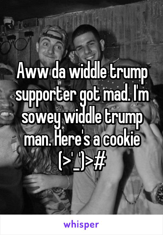 Aww da widdle trump supporter got mad. I'm sowey widdle trump man. Here's a cookie (>'_')>#