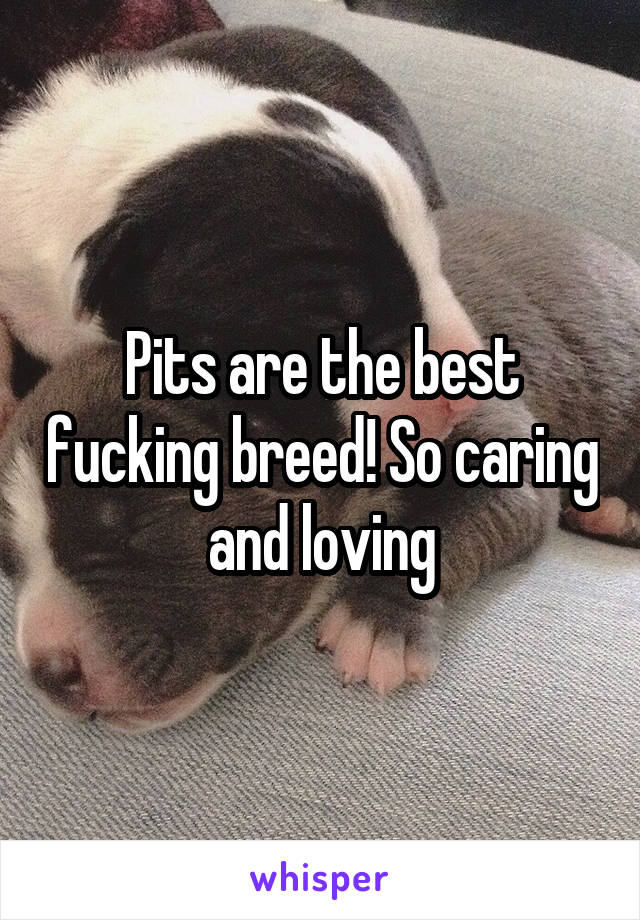 Pits are the best fucking breed! So caring and loving