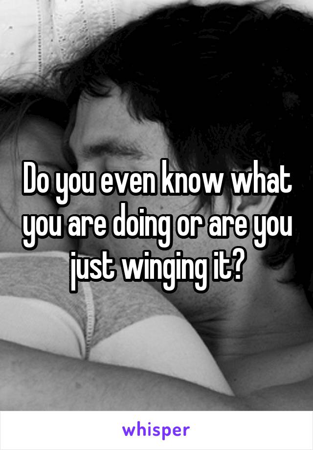 Do you even know what you are doing or are you just winging it?