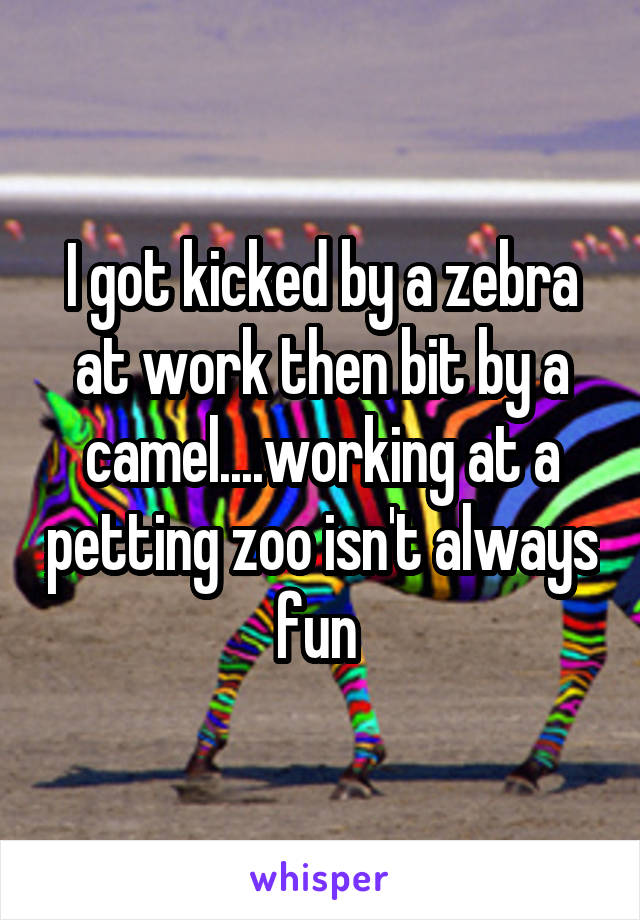 I got kicked by a zebra at work then bit by a camel....working at a petting zoo isn't always fun 