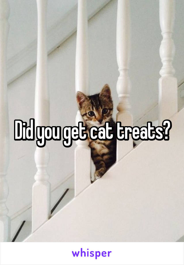 Did you get cat treats?