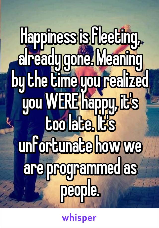 Happiness is fleeting, already gone. Meaning by the time you realized you WERE happy, it's too late. It's unfortunate how we are programmed as people.