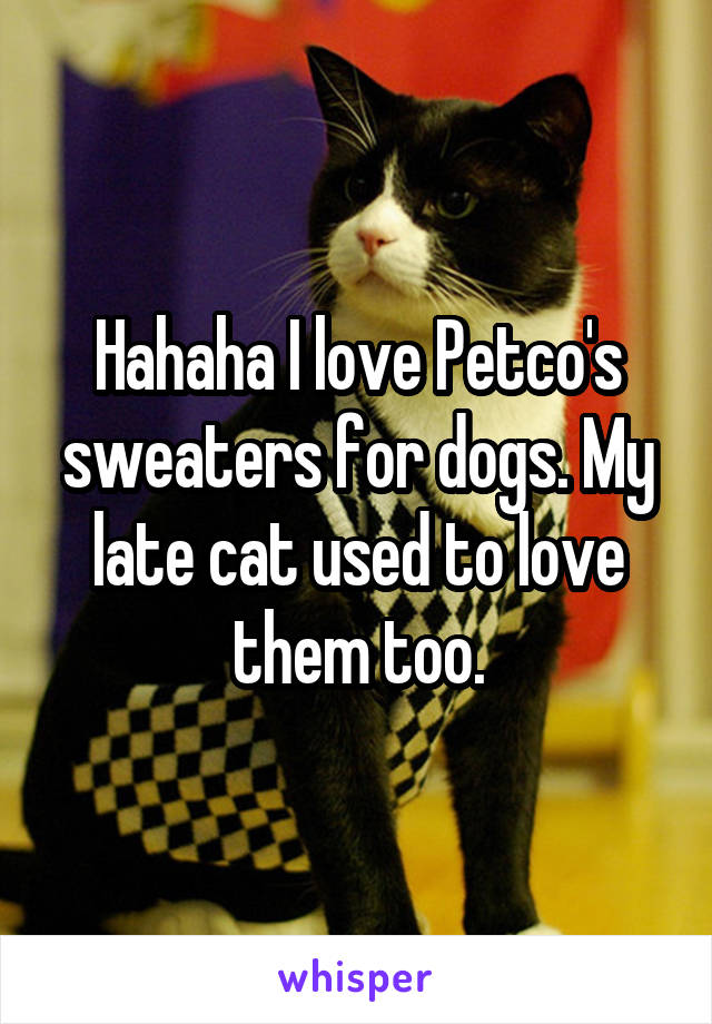 Hahaha I love Petco's sweaters for dogs. My late cat used to love them too.
