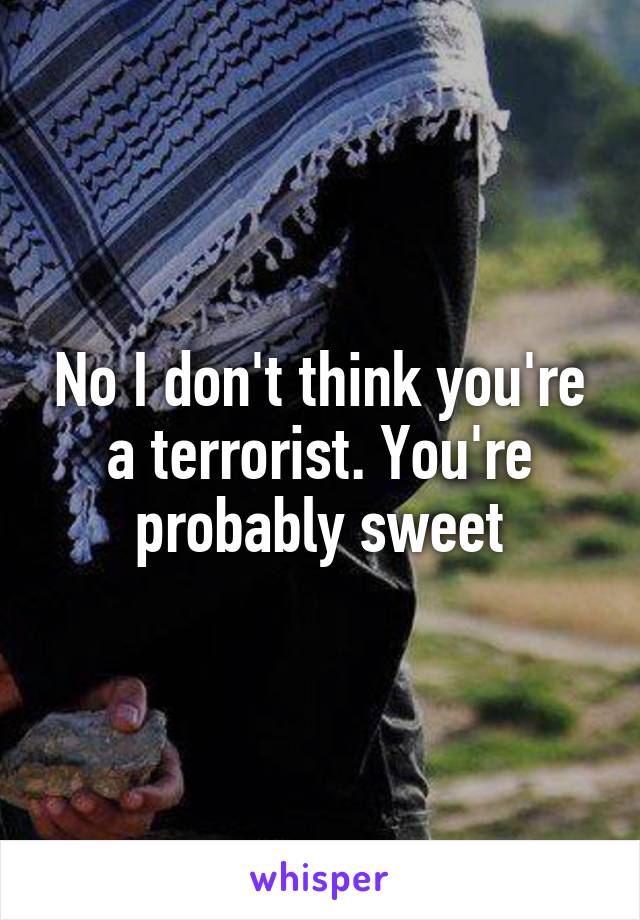 No I don't think you're a terrorist. You're probably sweet