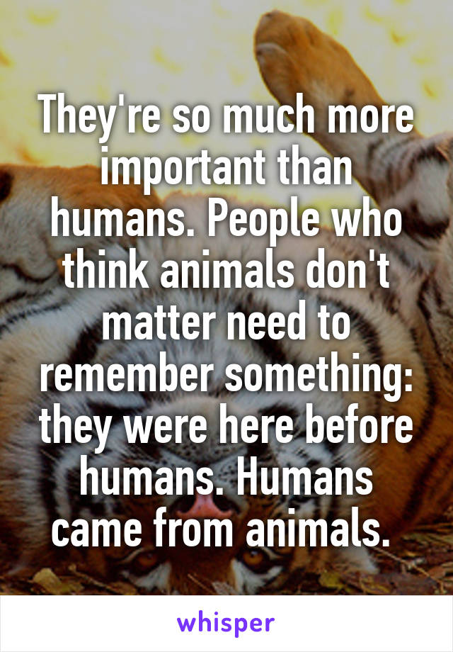 They're so much more important than humans. People who think animals don't  matter need