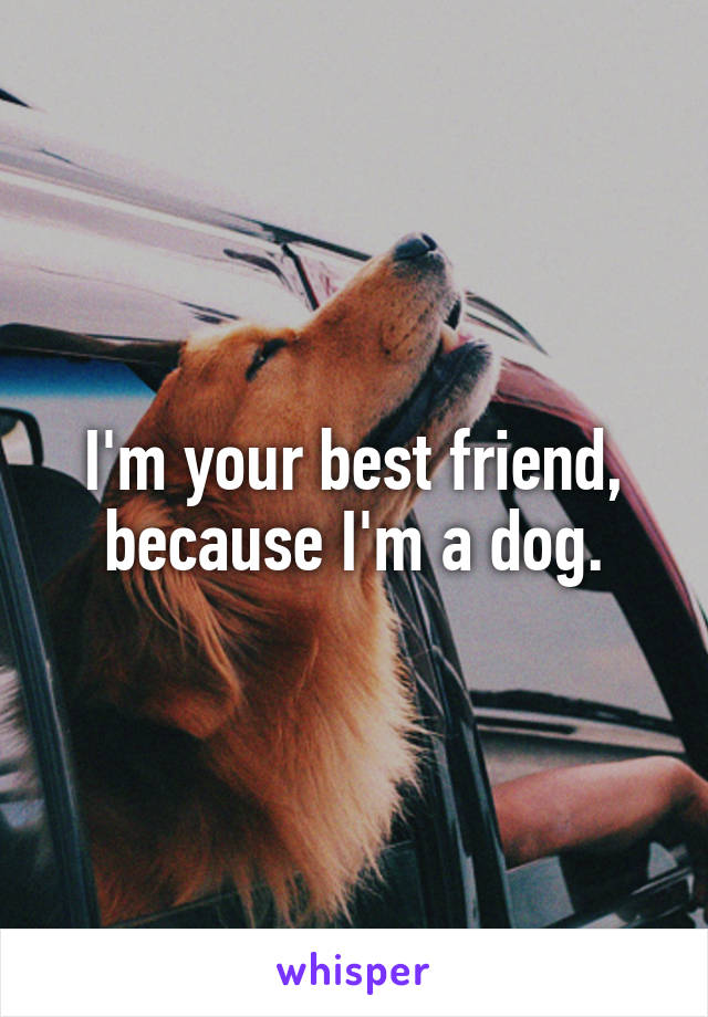 I'm your best friend, because I'm a dog.