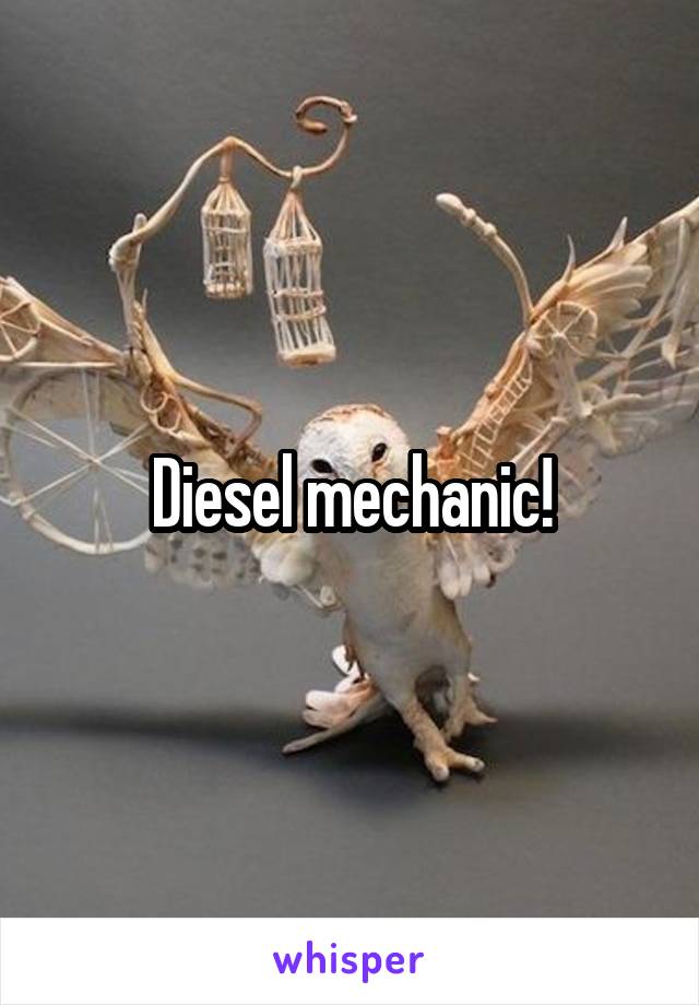 Diesel mechanic!