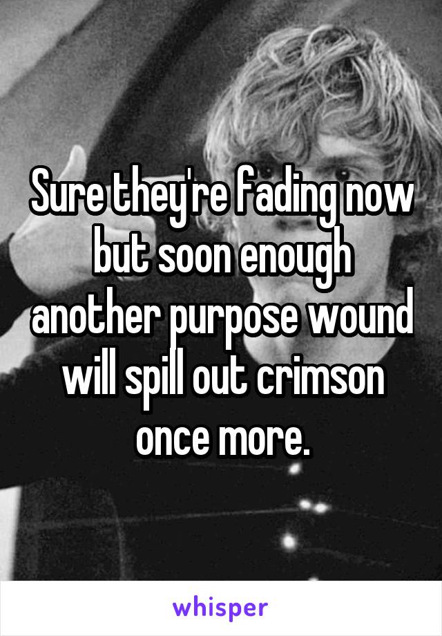 Sure they're fading now but soon enough another purpose wound will spill out crimson once more.