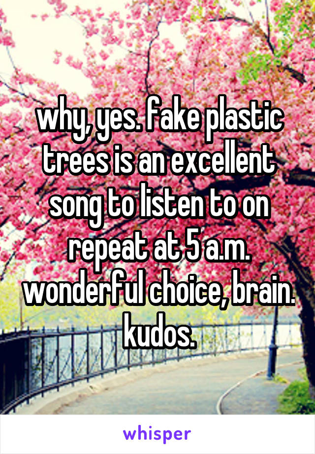 why, yes. fake plastic trees is an excellent song to listen to on repeat at 5 a.m. wonderful choice, brain. kudos.