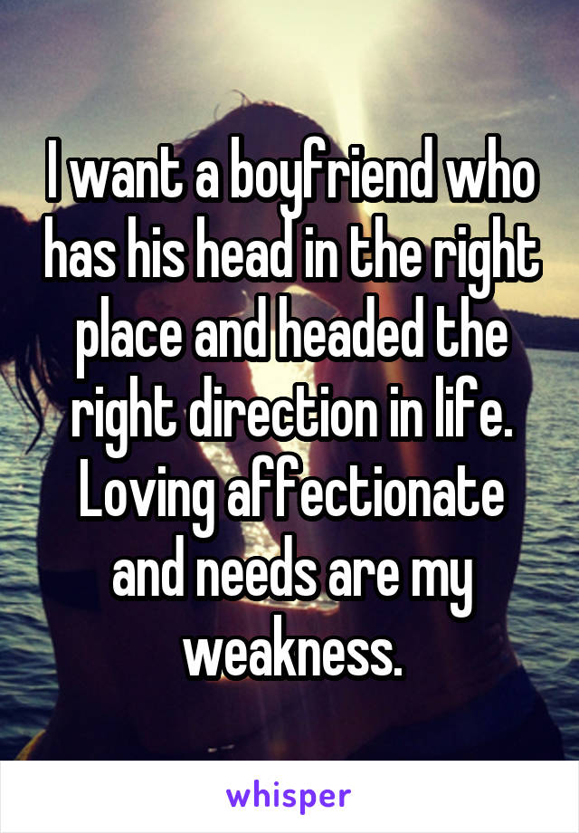 I want a boyfriend who has his head in the right place and headed the right direction in life. Loving affectionate and needs are my weakness.