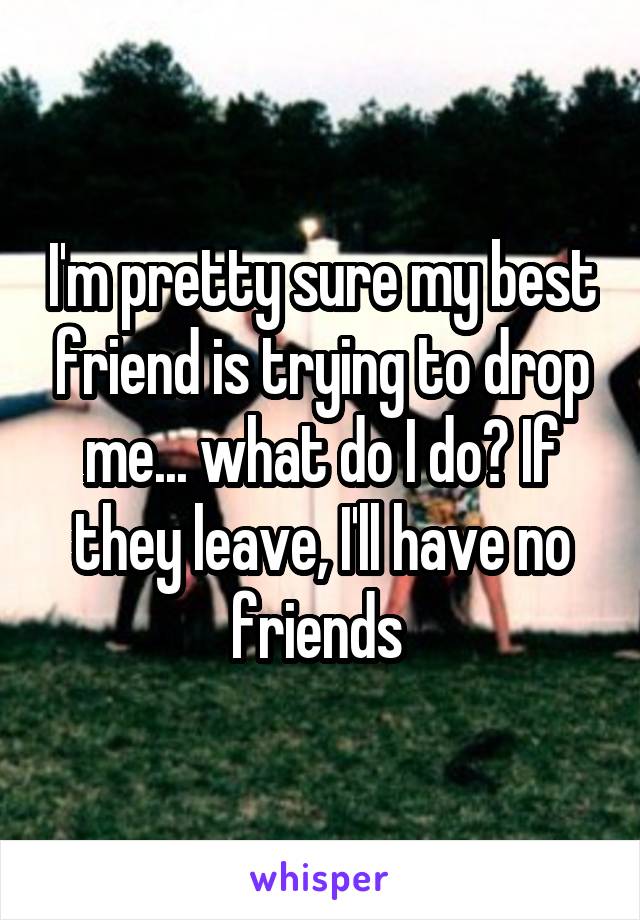 I'm pretty sure my best friend is trying to drop me... what do I do? If they leave, I'll have no friends 