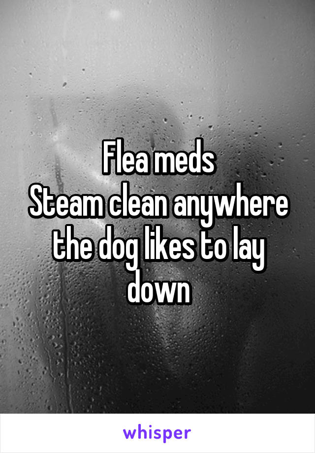Flea meds
Steam clean anywhere the dog likes to lay down