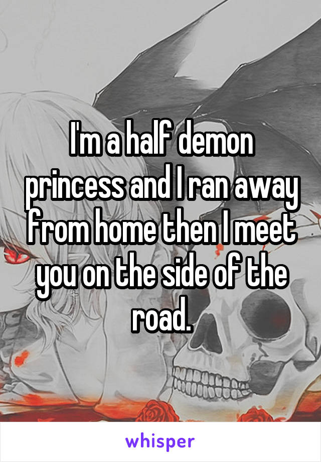 I'm a half demon princess and I ran away from home then I meet you on the side of the road.