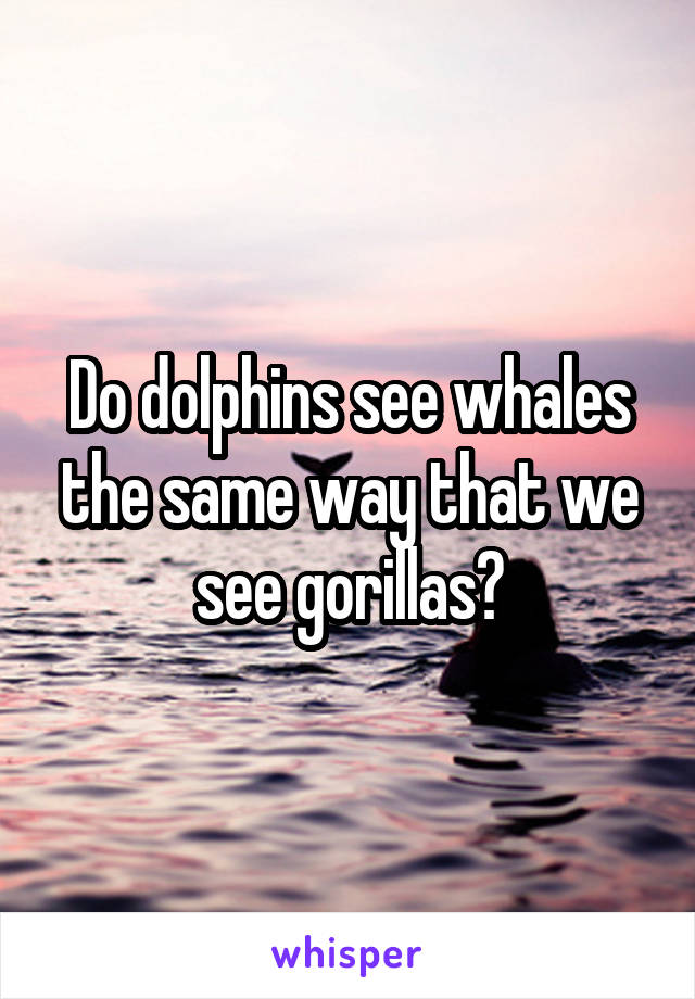 Do dolphins see whales the same way that we see gorillas?