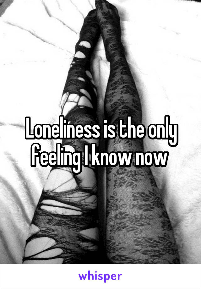 Loneliness is the only feeling I know now 