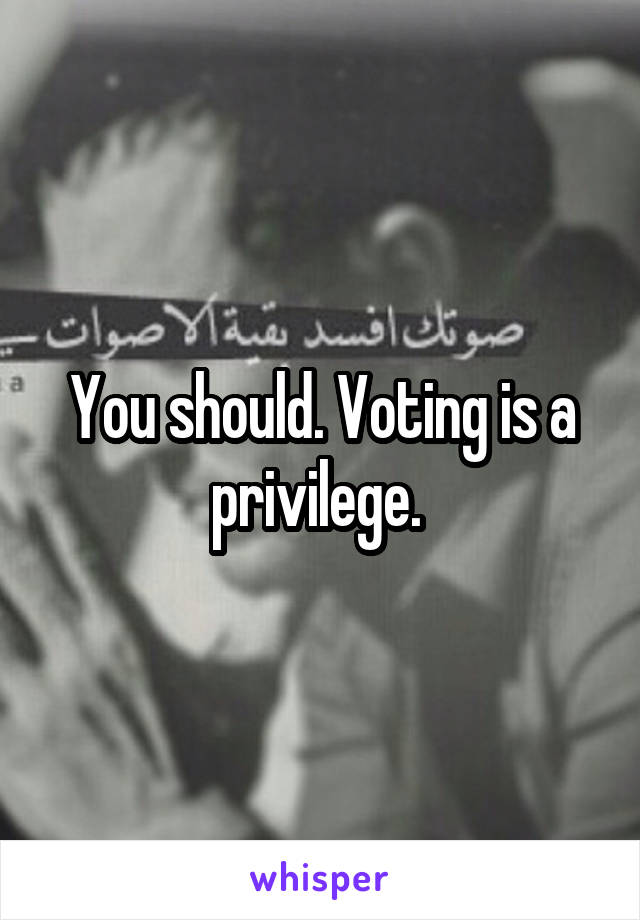 You should. Voting is a privilege. 