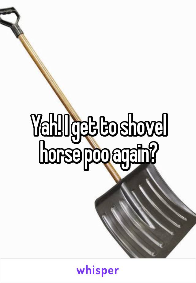 Yah! I get to shovel horse poo again😄