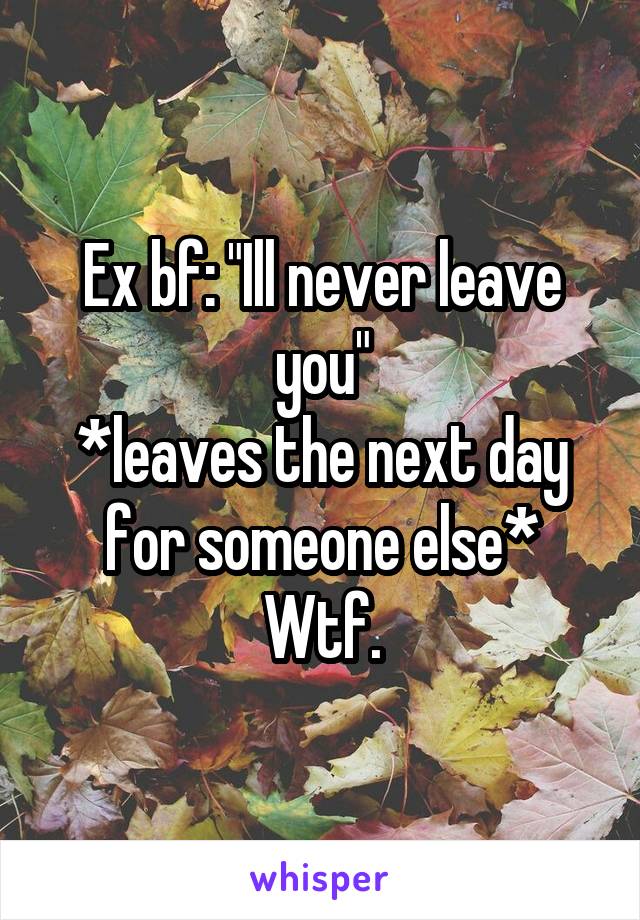 Ex bf: "Ill never leave you"
*leaves the next day for someone else*
Wtf.
