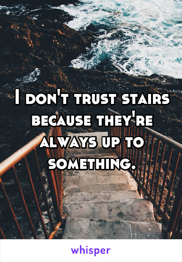 I don't trust stairs because they're always up to something.