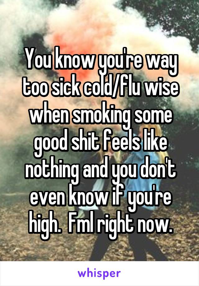 You know you're way too sick cold/flu wise when smoking some good shit feels like nothing and you don't even know if you're high.  Fml right now.