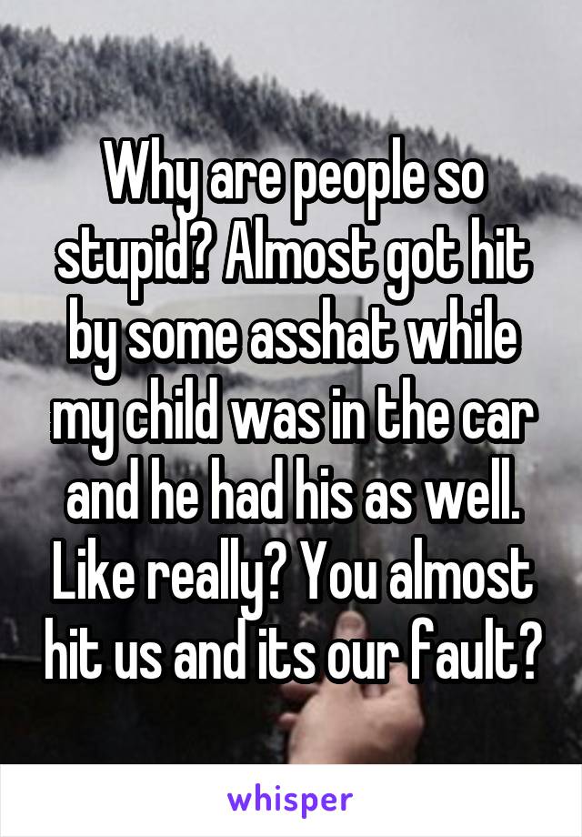 Why are people so stupid? Almost got hit by some asshat while my child was in the car and he had his as well. Like really? You almost hit us and its our fault?