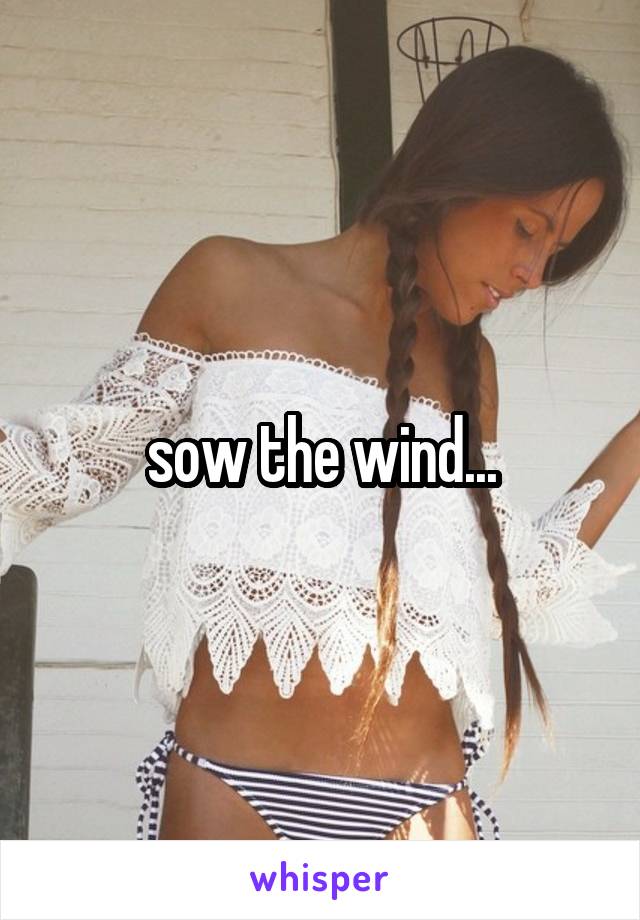 sow the wind...