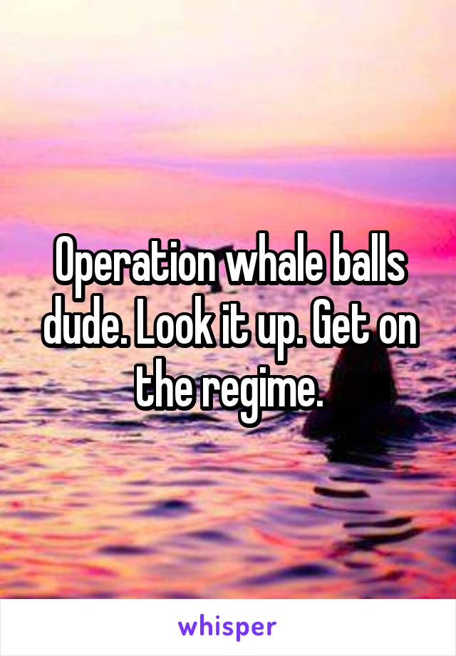 Operation whale balls dude. Look it up. Get on the regime.