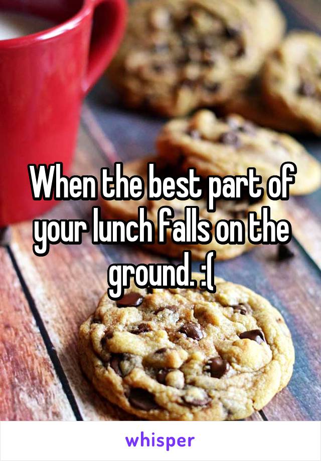 When the best part of your lunch falls on the ground. :(