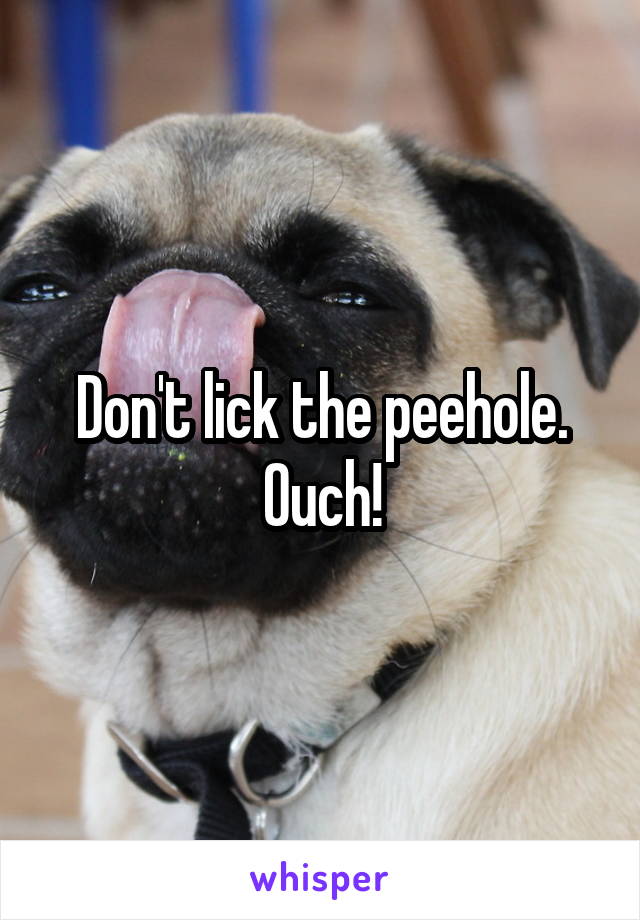 Don't lick the peehole. Ouch!