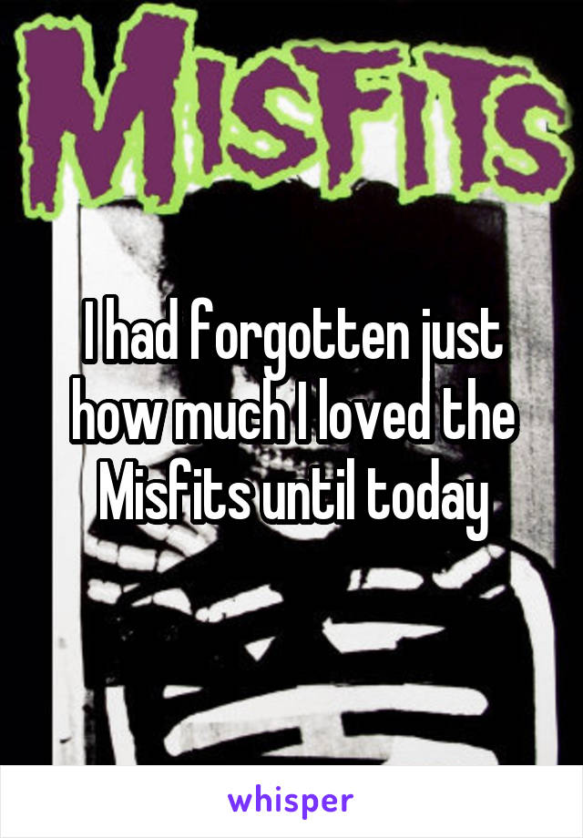 I had forgotten just how much I loved the Misfits until today