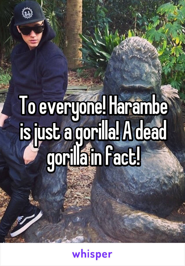 To everyone! Harambe is just a gorilla! A dead gorilla in fact!