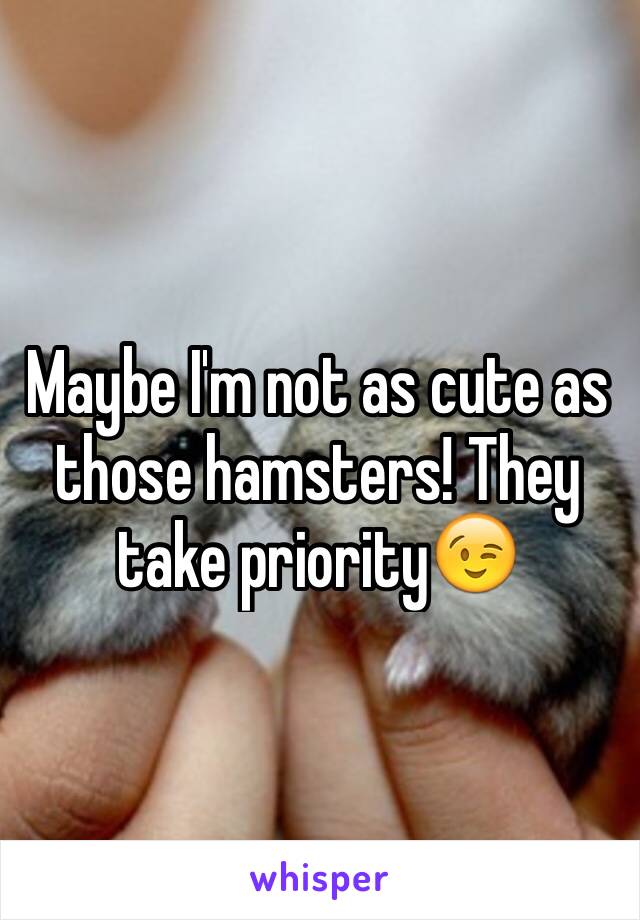 Maybe I'm not as cute as those hamsters! They take priority😉