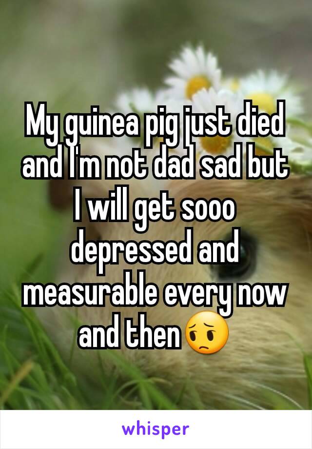 My guinea pig just died and I'm not dad sad but I will get sooo depressed and measurable every now and then😔
