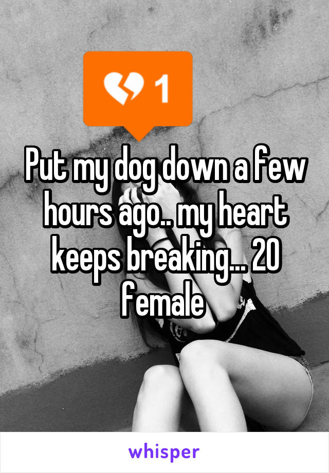Put my dog down a few hours ago.. my heart keeps breaking... 20 female 