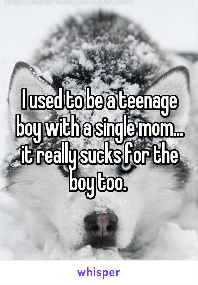 I used to be a teenage boy with a single mom... it really sucks for the boy too. 