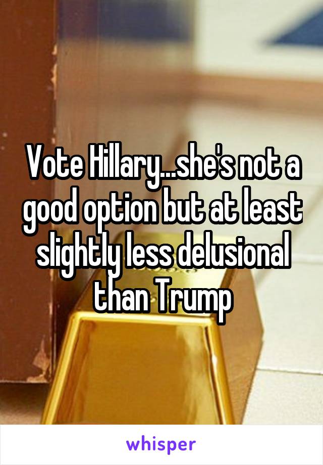 Vote Hillary...she's not a good option but at least slightly less delusional than Trump