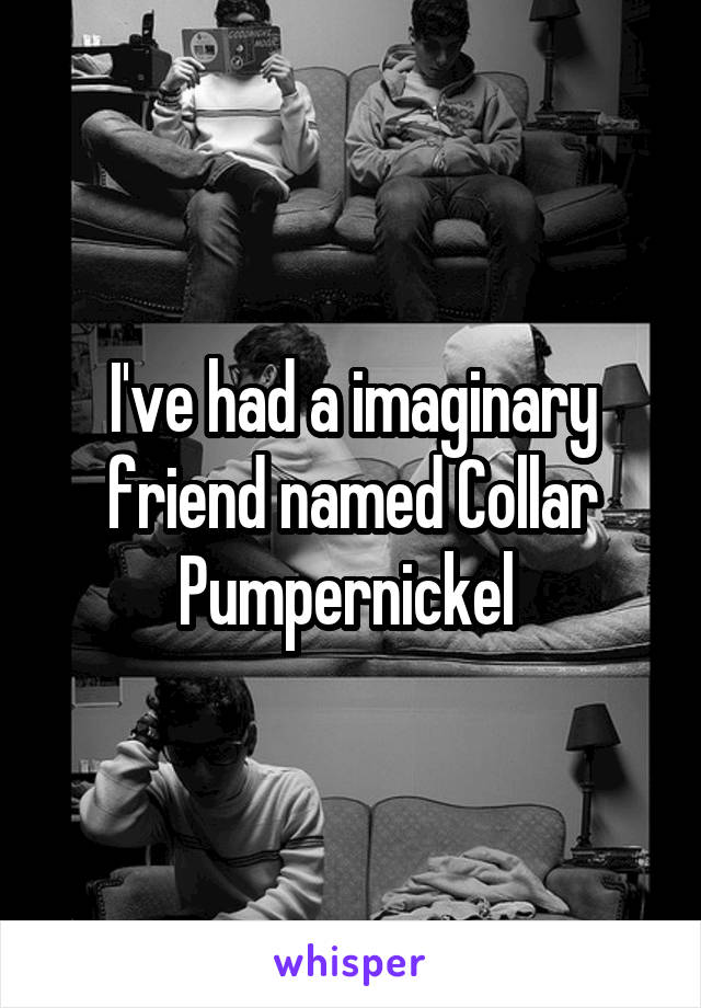 I've had a imaginary friend named Collar Pumpernickel 