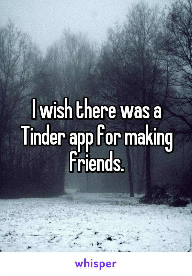 I wish there was a Tinder app for making friends.
