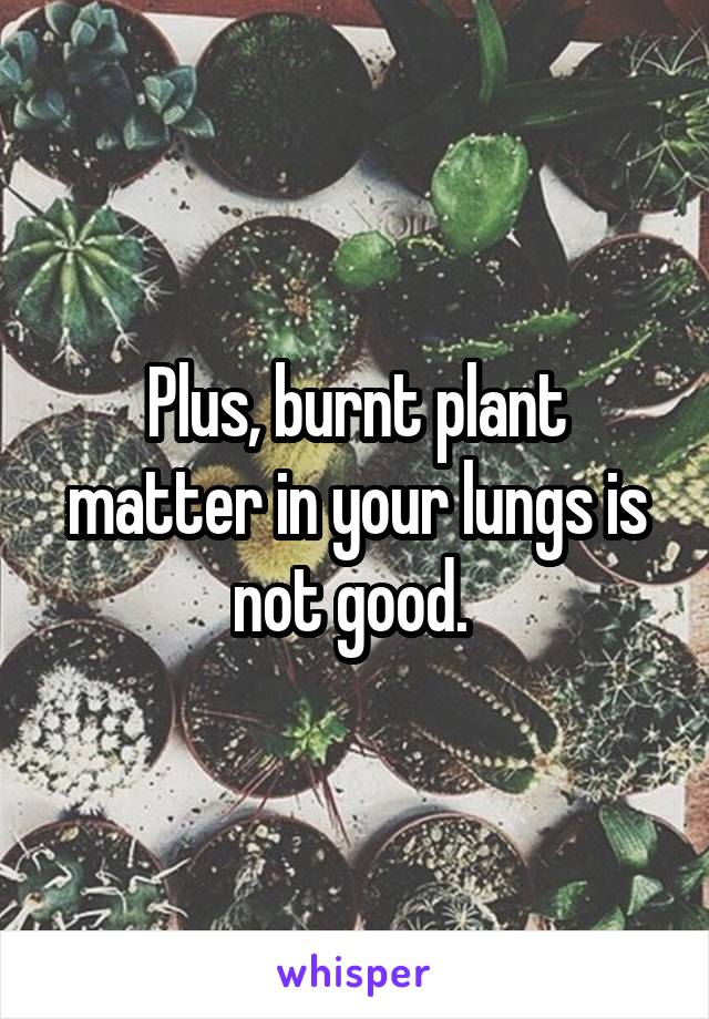 Plus, burnt plant matter in your lungs is not good. 
