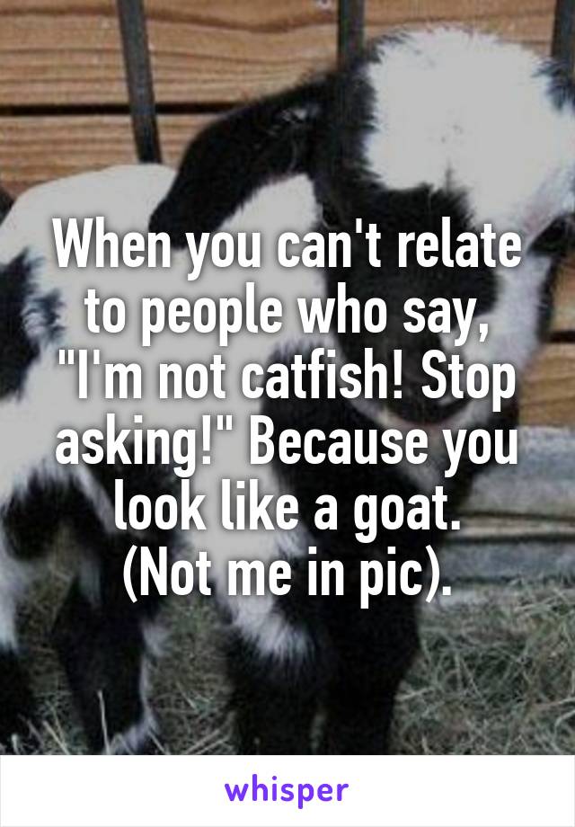 When you can't relate to people who say, "I'm not catfish! Stop asking!" Because you look like a goat.
(Not me in pic).
