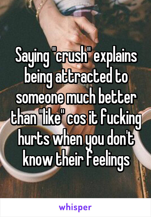 Saying "crush" explains being attracted to someone much better than "like" cos it fucking hurts when you don't know their feelings