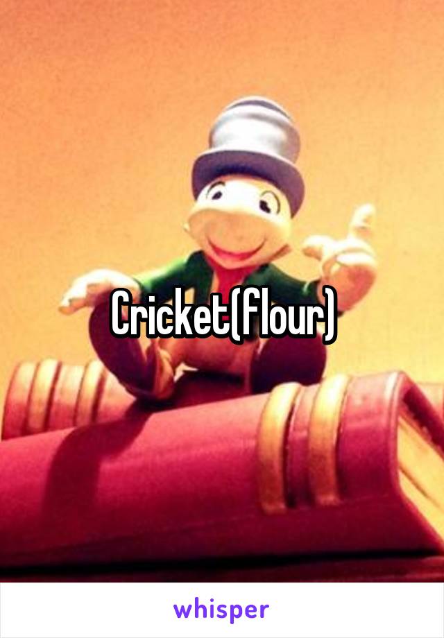 Cricket(flour)