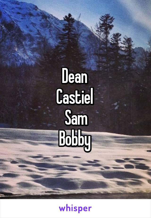 Dean 
Castiel 
Sam
Bobby 