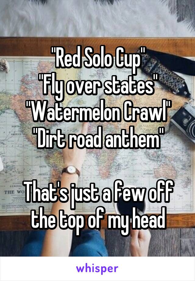 "Red Solo Cup"
"Fly over states"
"Watermelon Crawl"
"Dirt road anthem"

That's just a few off the top of my head